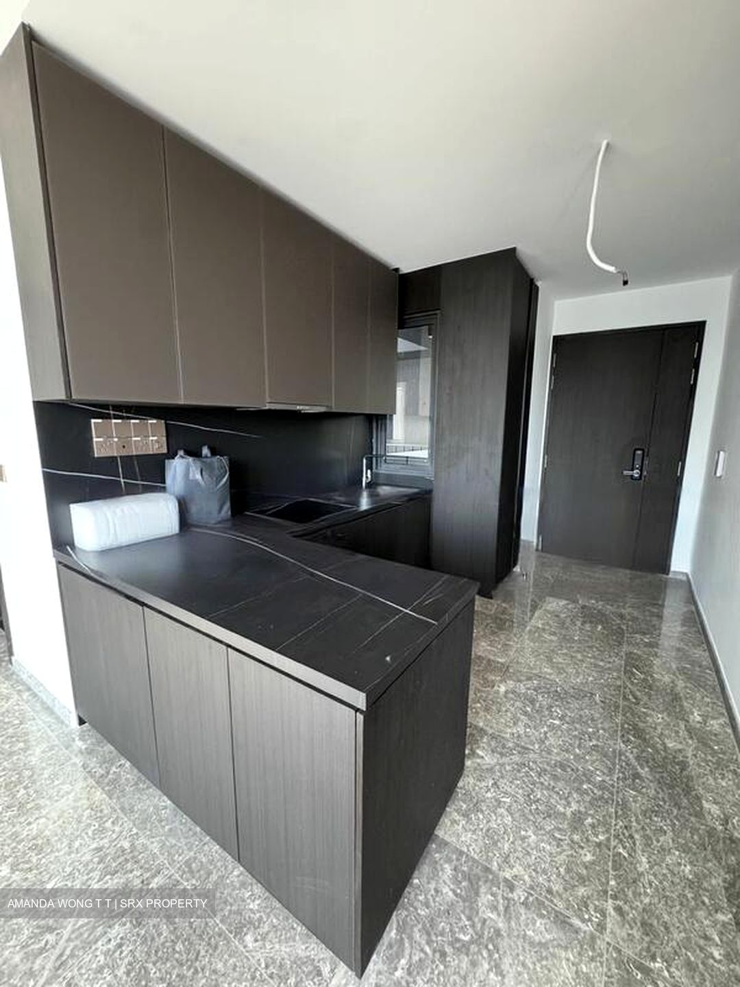 Hyll On Holland (D10), Condominium #624682991
